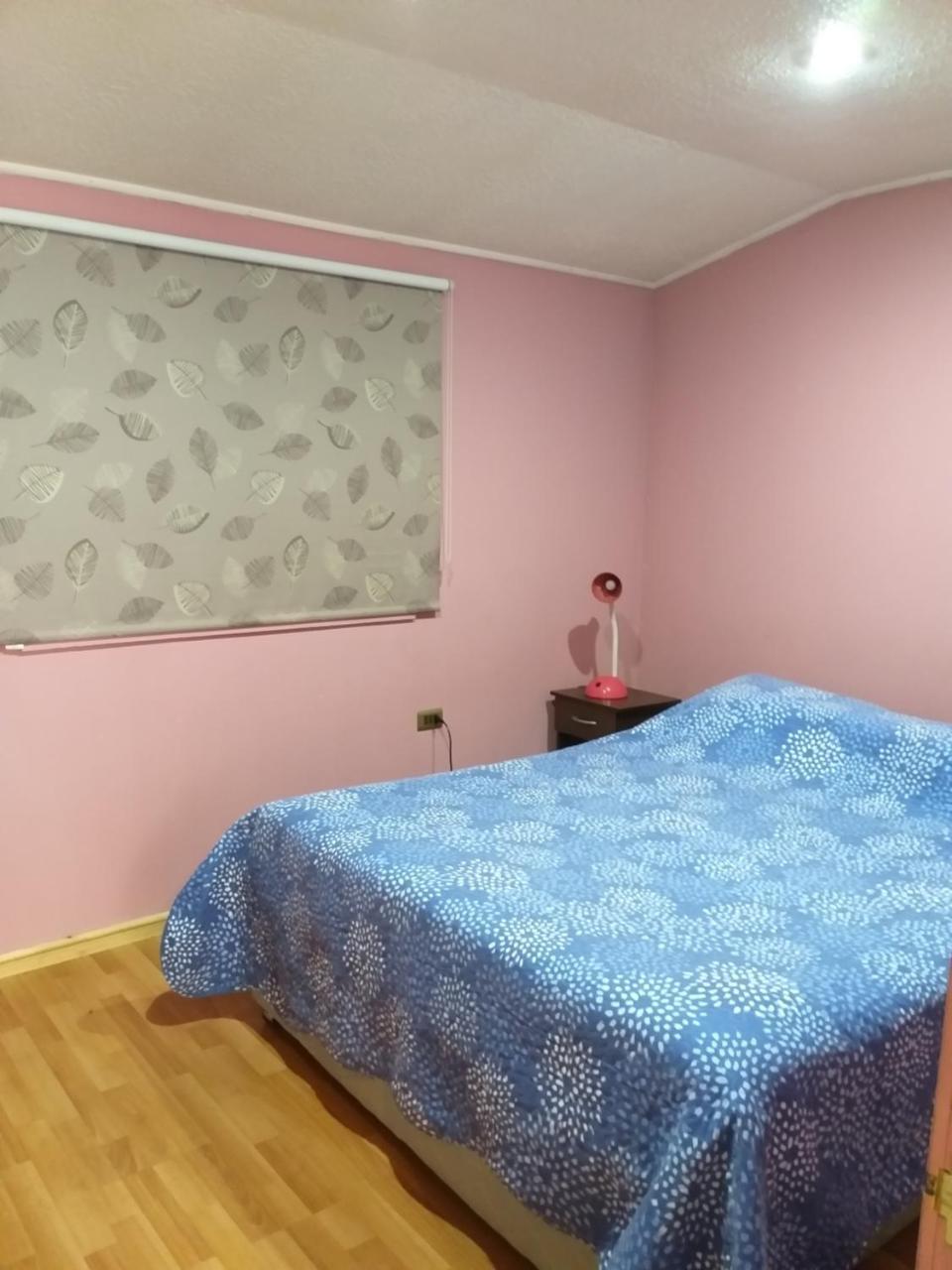 Apartament Cabanas Sur Del Mundo Coyhaique Zewnętrze zdjęcie