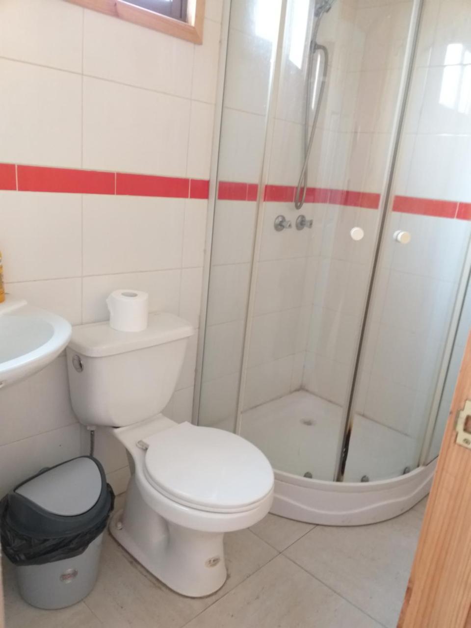 Apartament Cabanas Sur Del Mundo Coyhaique Zewnętrze zdjęcie